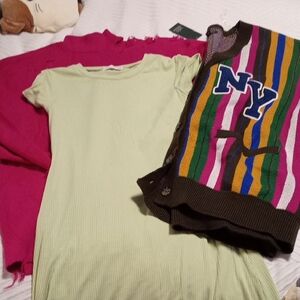Active USA Pink Sweater and Striped Vest with Green Dress